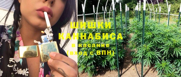 spice Алзамай