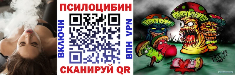 OMG зеркало  Трёхгорный  Псилоцибиновые грибы Psilocybe 